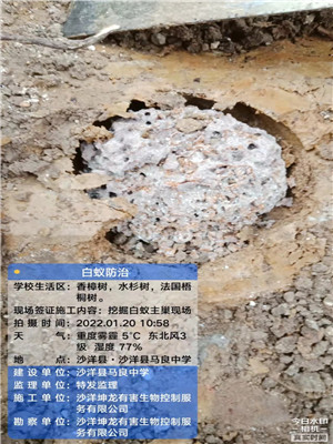 荊門白蟻防治公司介紹了白蟻在新建房屋中的原因-- 沙洋坤龍有害生物控制服務有限公司