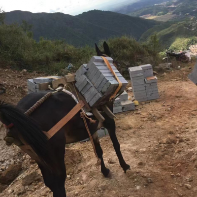 騾馬搬運，打造無后顧之旅