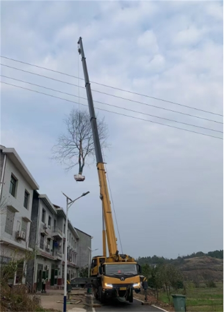 你知道高空車在哪些行業中的應用比較廣泛嗎？-- 河池市宜州區勝榮吊裝服務中心