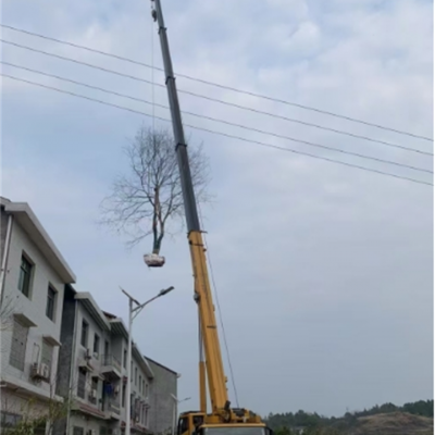 你知道高空車在哪些行業(yè)中的應用比較