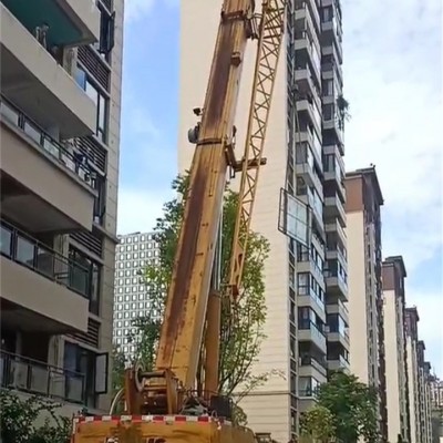 吊車日常保養，延長使用壽命的秘訣！