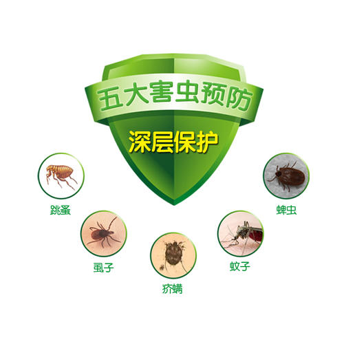 珠海商場(chǎng)超市殺蟲(chóng) 蟲(chóng)害對(duì)商超食品零售業(yè)的危害-- 珠海齊昌殺蟲(chóng)滅白蟻防治